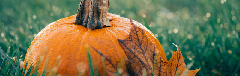 punkin