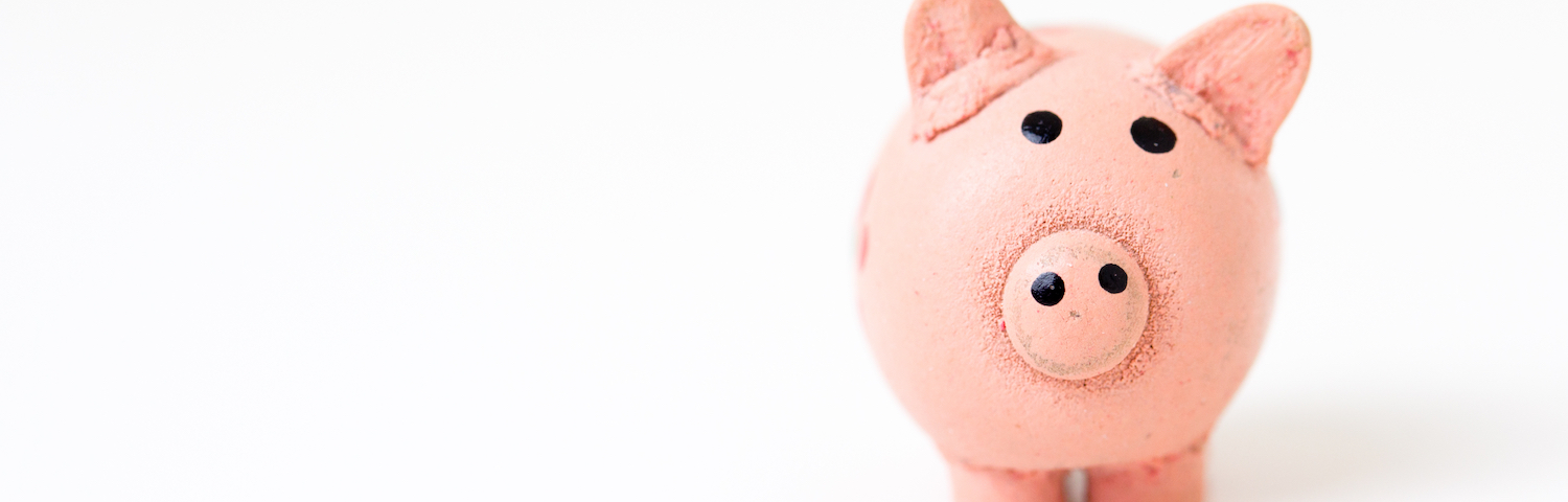 pink piggy bank against white background