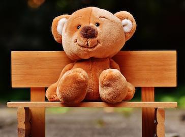 fluffy teddy bear on a bench