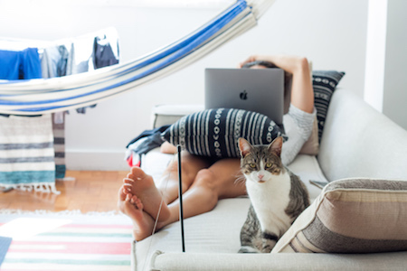 woman relaxing on the couch with her laptop on her lap and her cat next to her on the couch staring at the camera