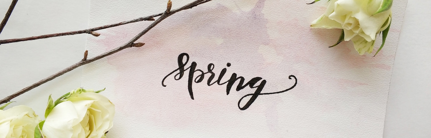 blooming blossoms and spring written on a paper