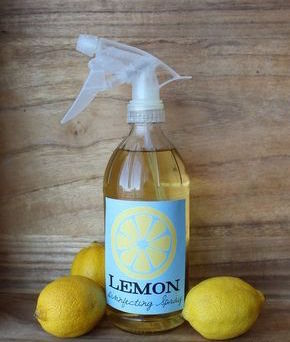 lemon vinegar mixture in a spray bottle next to whole lemons